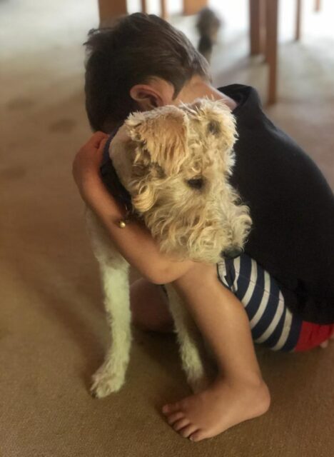 IMG-20220923-WA0052